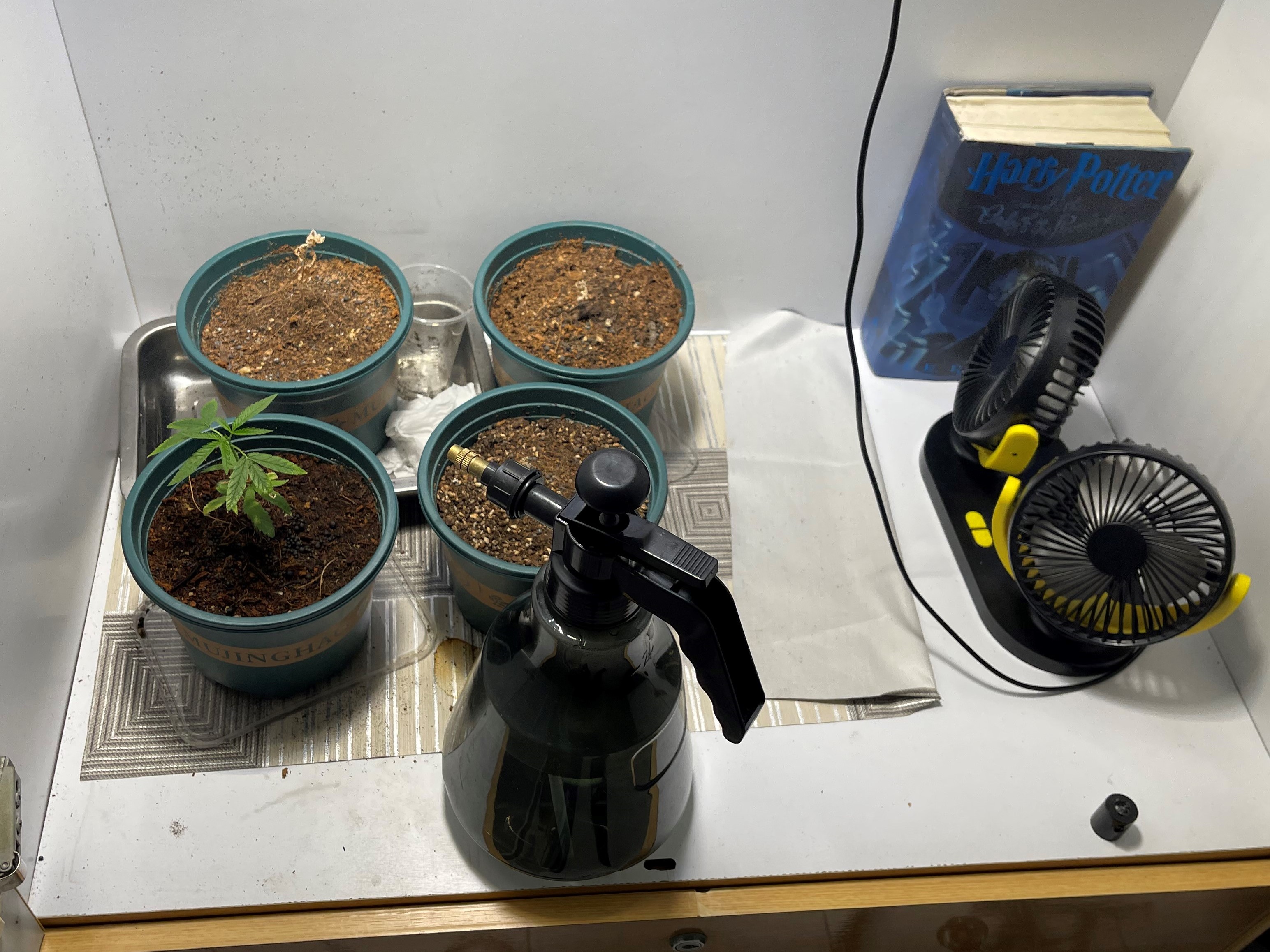 CNB Drug Bust 20 May 2024