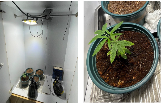 CNB Drug Bust 20 May 2024
