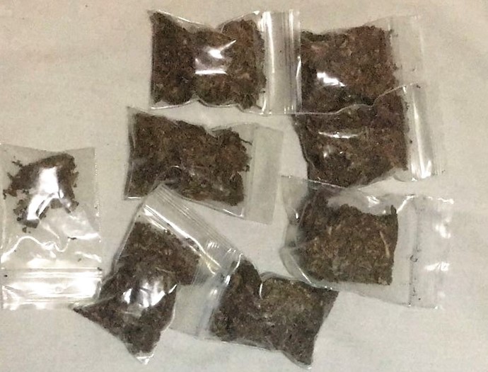 Photo-1: Some of the cannabis seized during CNB’s 4-day island-wide operation from 11 to 15 September 2017