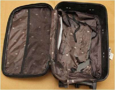 Luggage used to conceal the drugs