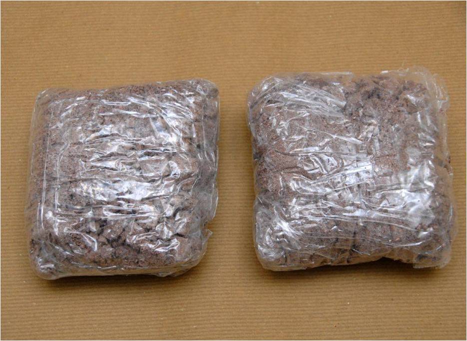 Heroin seized at Woodlands Checkpoint on 2 Jan 2014