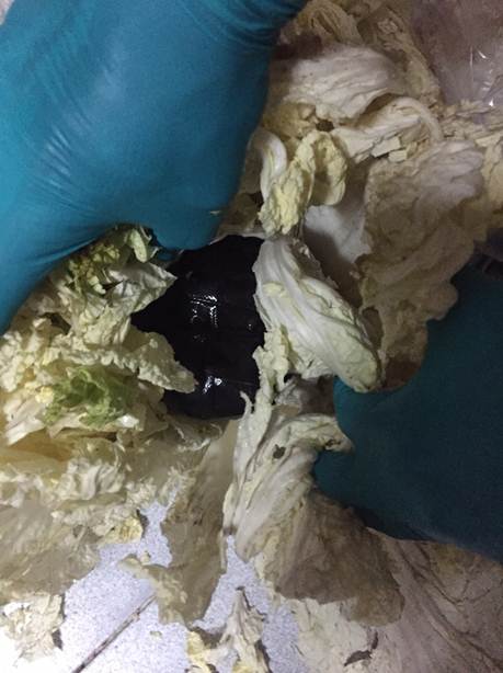 Photo-2: Bundle containing heroin, concealed within cabbage, in CNB operation on 13 Aug 2015.