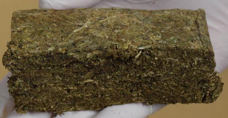 Photo-5: Close-up view of cannabis seized from CNB raid at unit at Fernvale Link, on 27 January 2016