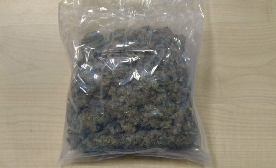 Photo 2: The Cannabis in vegetable form recovered from parcel.