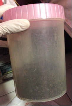 Photo-3 (CNB): About 207g of vegetable matter believed to be synthetic cannabis found in unit at Bukit Batok Street 34, during CNB operation on 18 July 2018. Photo-3 (CNB): About 207g of vegetable matter believed to be synthetic cannabis found in unit at Bukit Batok Street 34, during CNB operation on 18 July 2018.