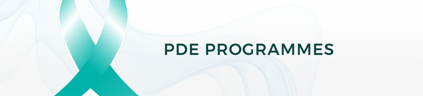ASEAN PDE Portal Programmes Banner