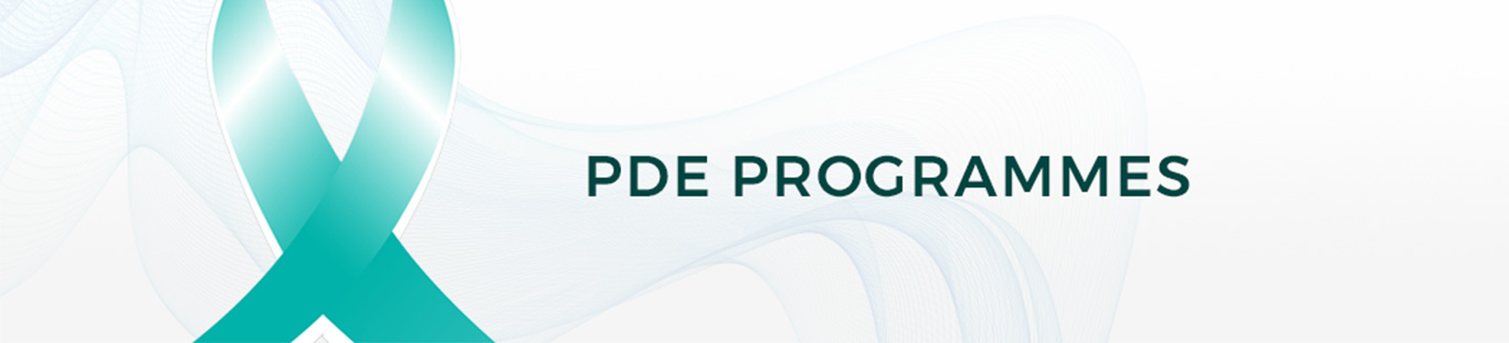 ASEAN PDE Portal Programmes Banner
