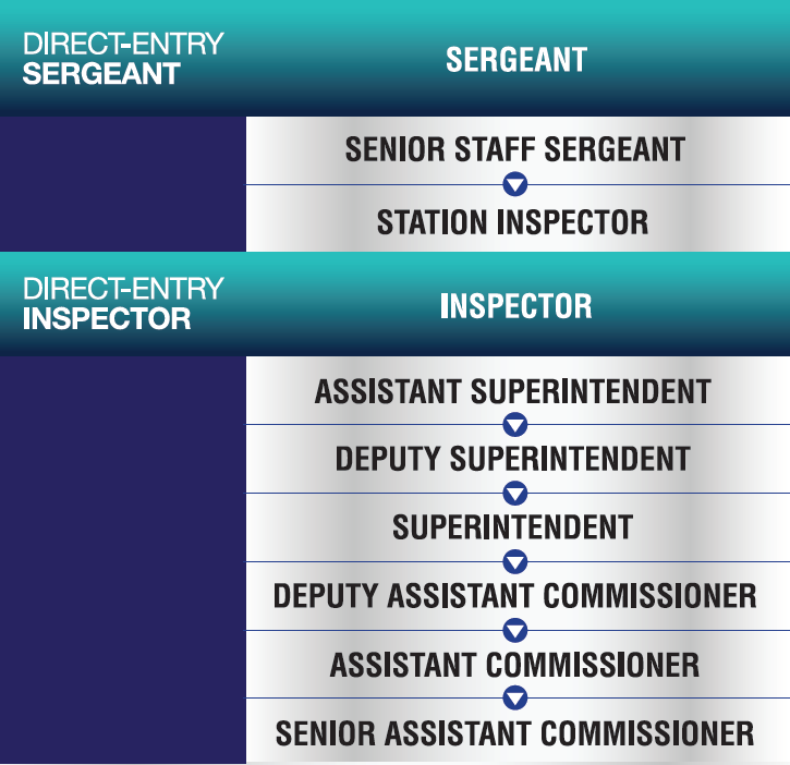 Rank Structure