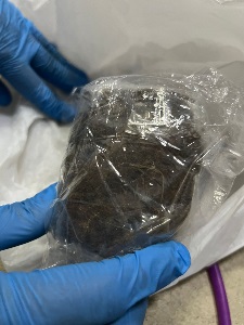 Photo 1 CNB drug bust (10 March 2023)