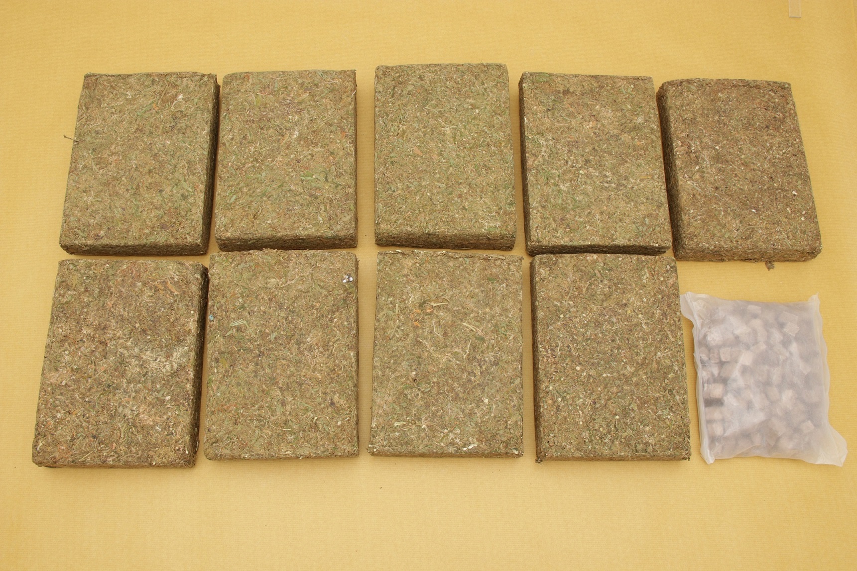 Photo 3 CNB drug bust 31 Mar 2022