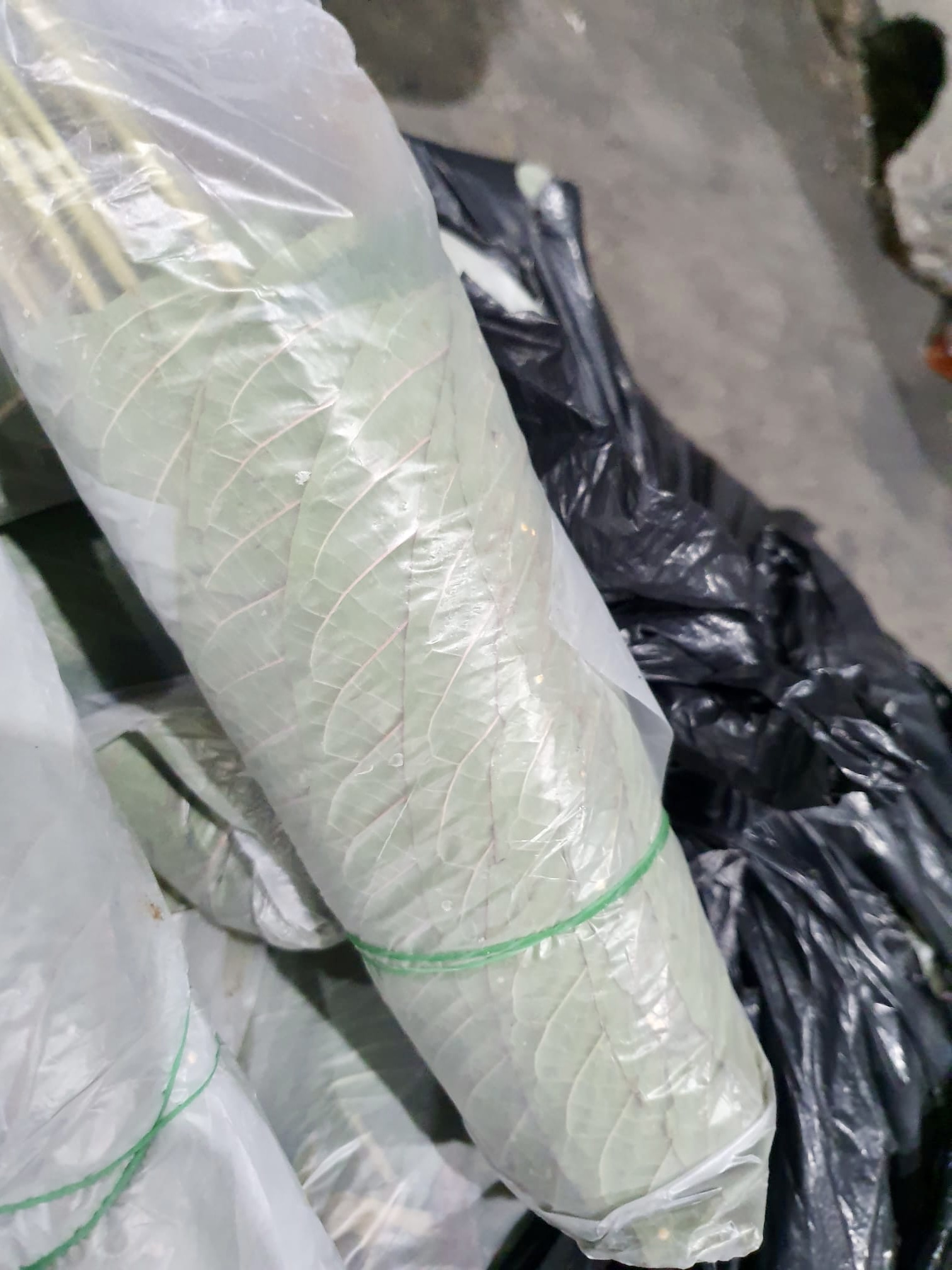 Photo 3 CNB drug bust 5 Jan 2022