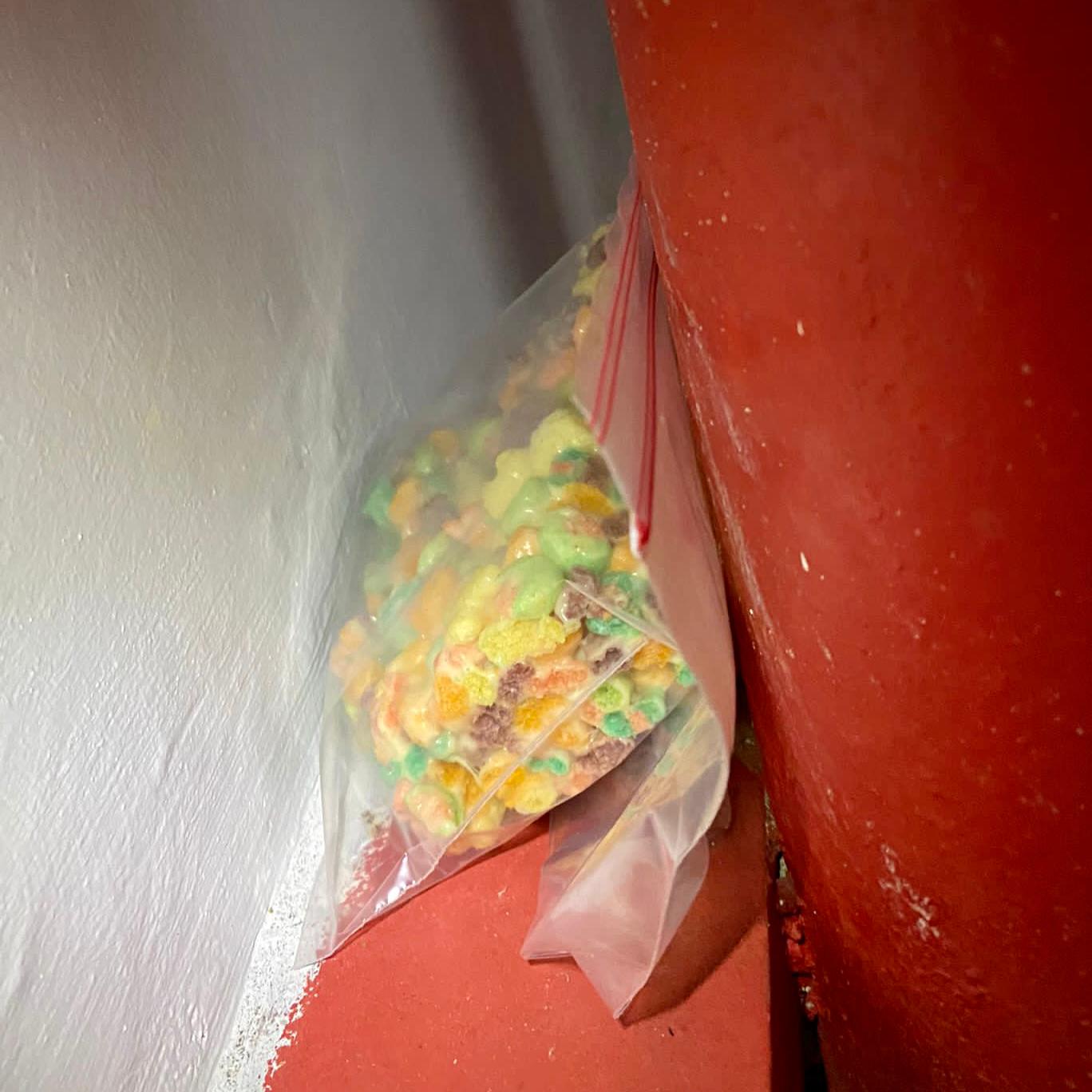 Photo 3 CNB Drug Bust 27 October 2022