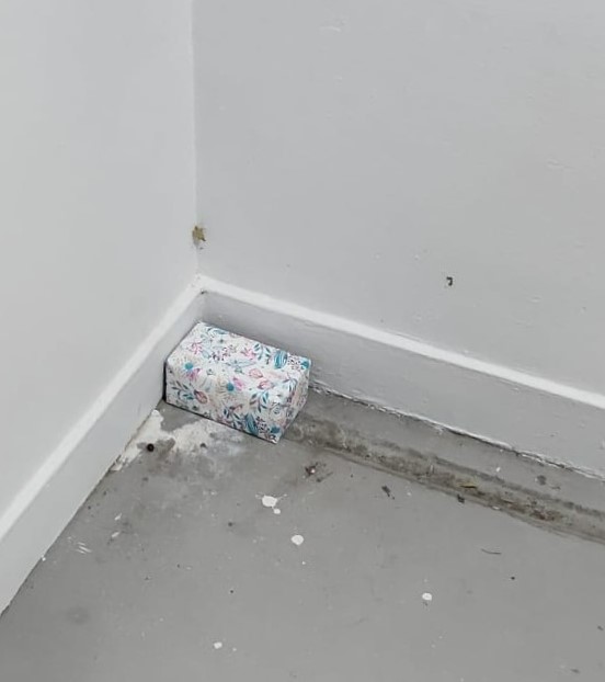 Photo 3 CNB drug bust (10 March 2023)