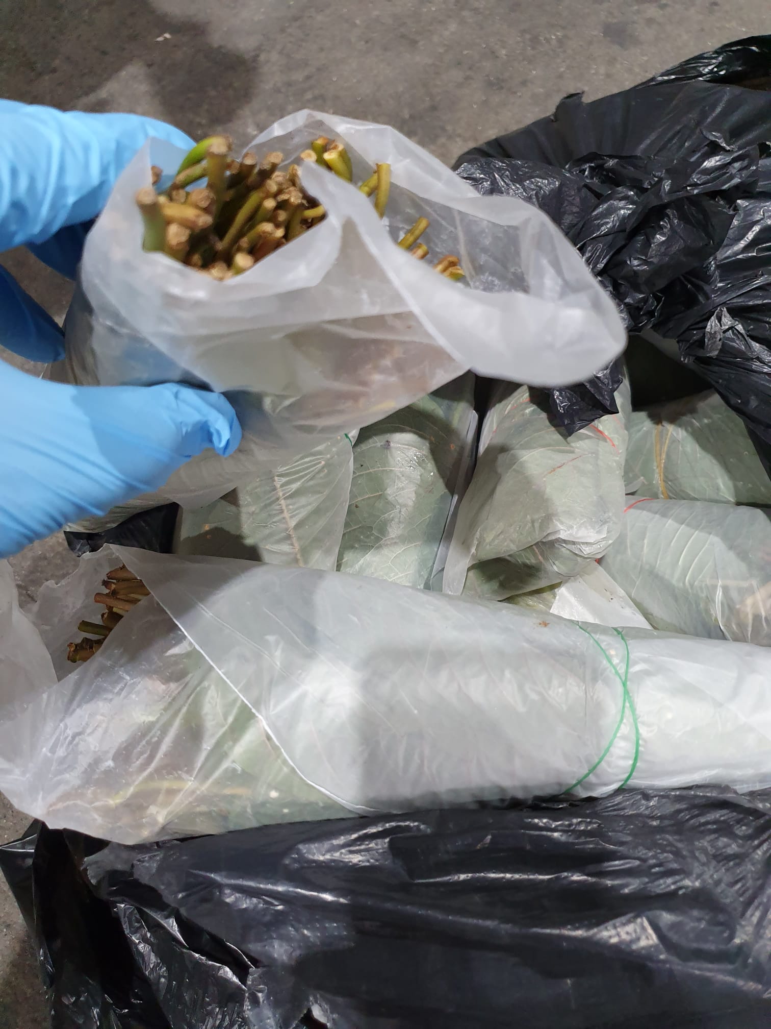 Photo 4 CNB drug bust 5 Jan 2022