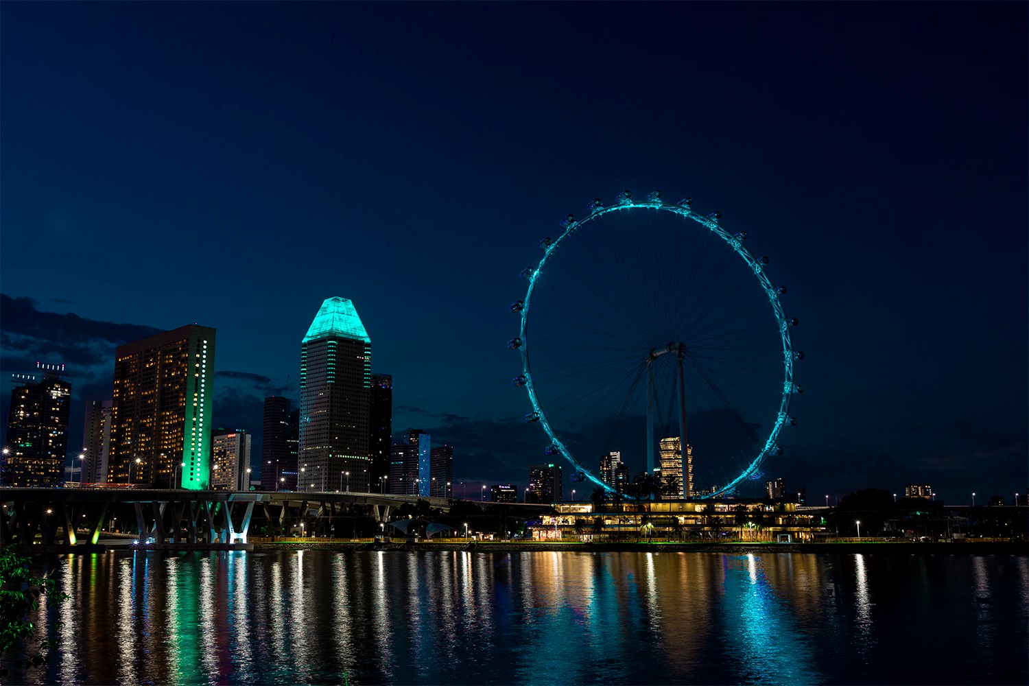 Photo 4 DrugFreeSG Light-Up 2022