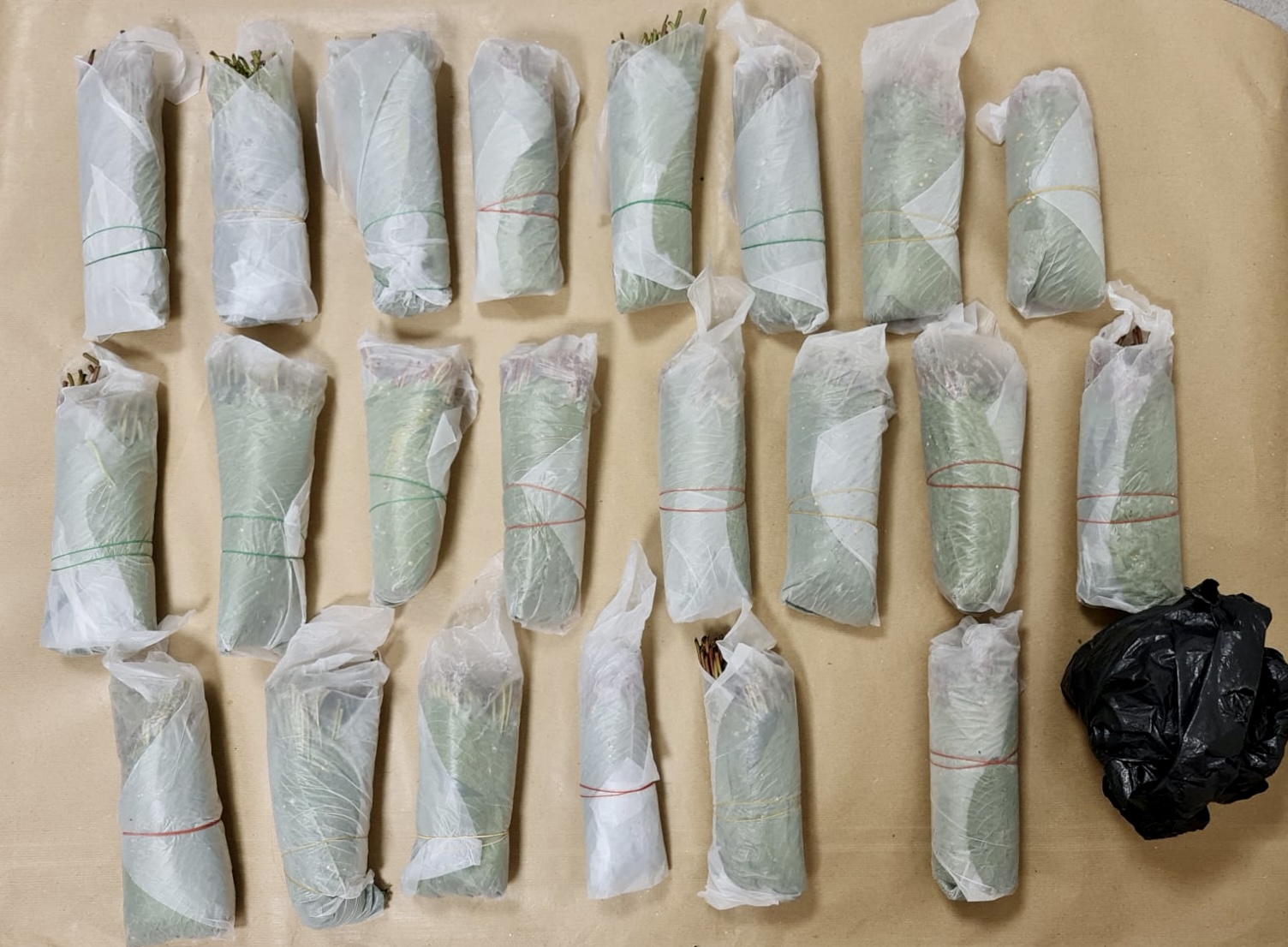 Photo 5 CNB drug bust 5 Jan 2022