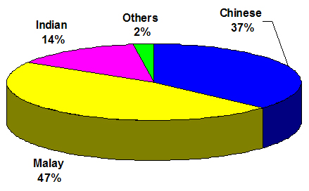 Abusers by ethnicity in 2007
