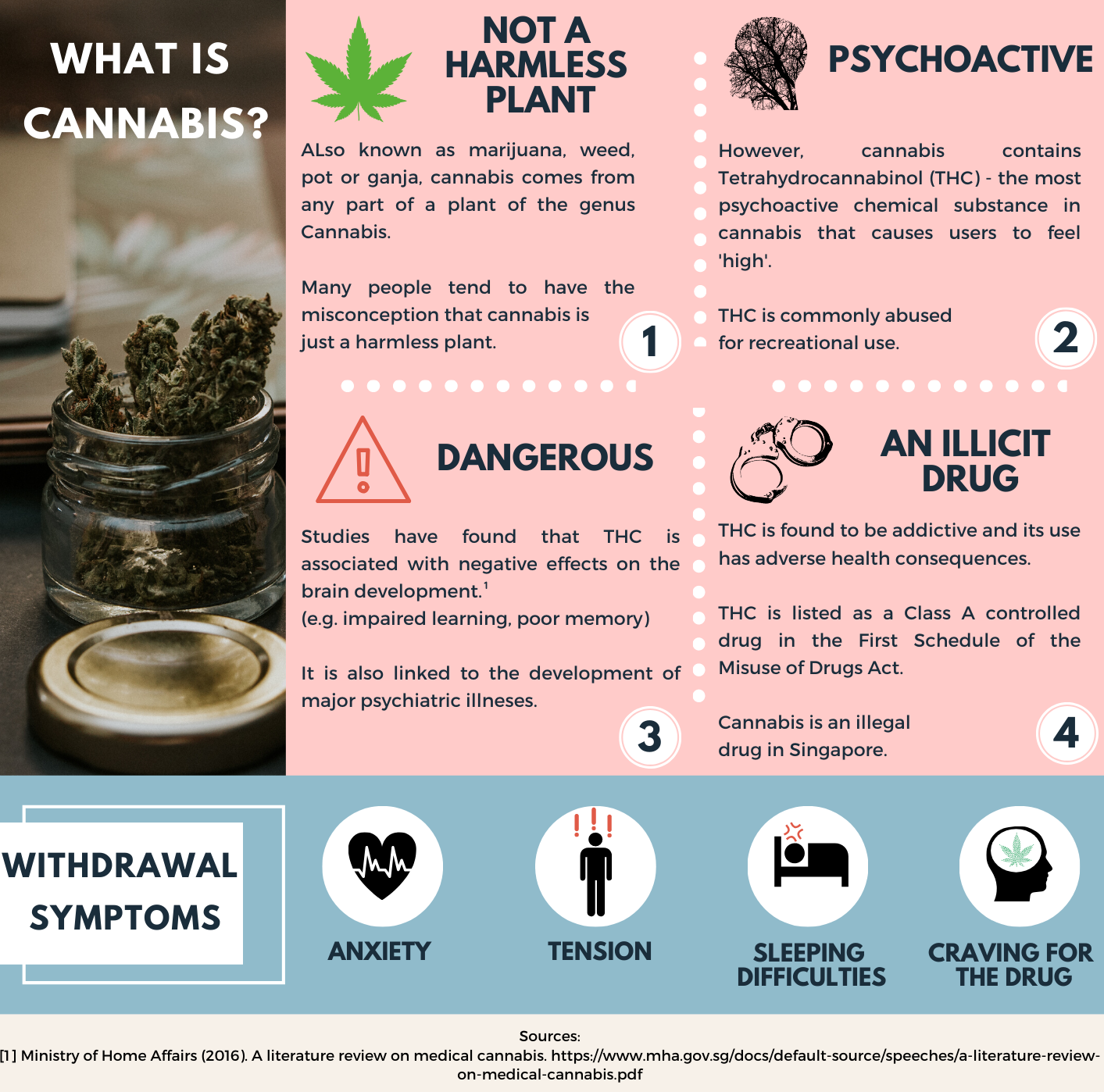 What is cannabis