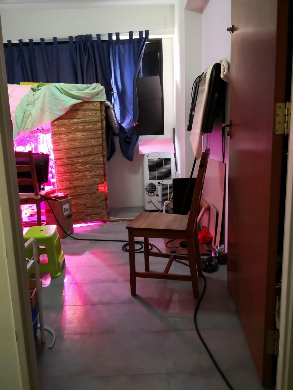Photo-2 (CNB): View of area within a residential unit, where a makeshift greenhouse was erected for cultivation of cannabis plants, raided by CNB on 9 September 2019.