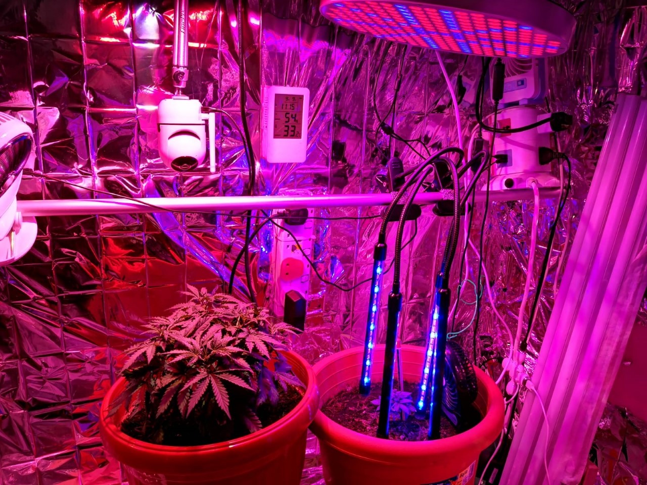 Photo-3 (CNB): View of interior of makeshift greenhouse, erected within a residential unit, raided by CNB on 9 September 2019.