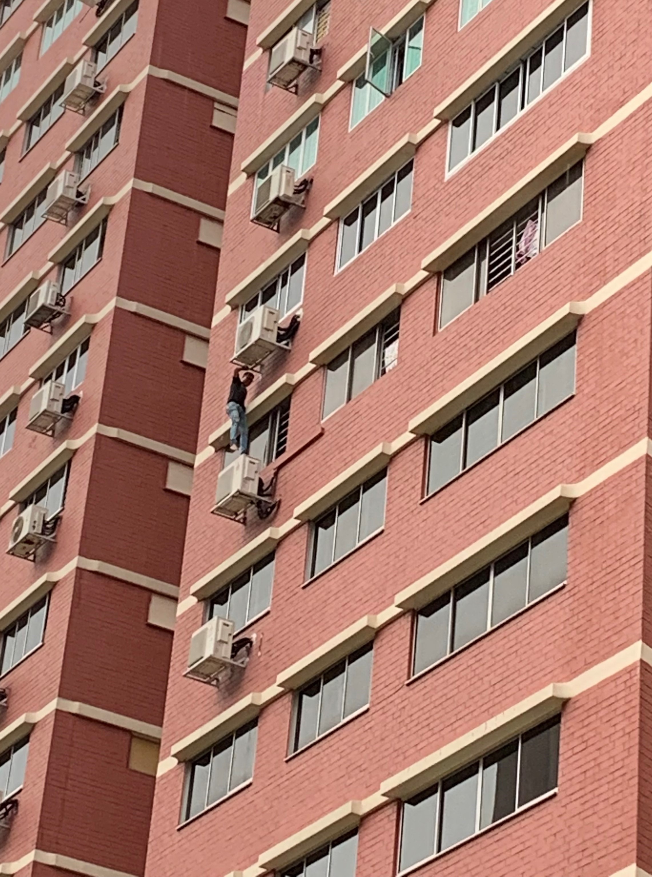 Photo 1 (CNB): 38-year-old Singaporean male suspect scaling heights in bid to evade arrest, in CNB operation at Sin Ming Avenue on 13 June 2019. The suspect was eventually arrested. Photo 1 (CNB): 38-year-old Singaporean male suspect scaling heights in bid to evade arrest, in CNB operation at Sin Ming Avenue on 13 June 2019. The suspect was eventually arrested.