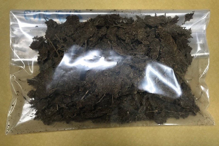 Photo-4 (CNB): Cannabis seized in a residential unit in vicinity of Serangoon North Avenue 1, raided by CNB on 19 September 2019.