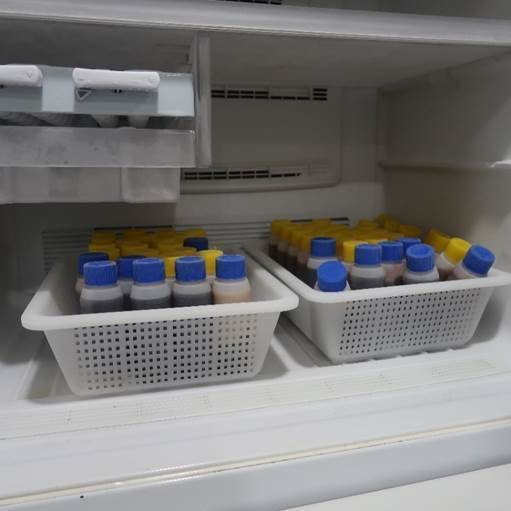 Photo 2 (HSA): Bottles of cough syrup stored in freezer seized from an apartment in the vicinity of Beach Road on 1 March 2021. 