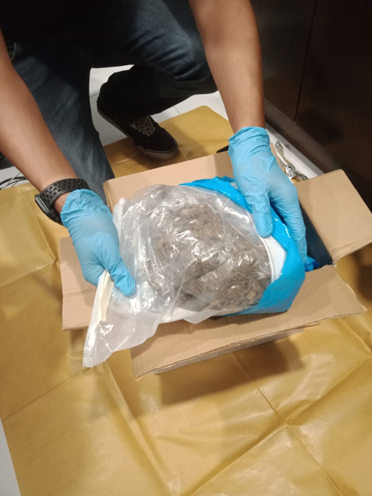 Photo 1: Ten packets containing about 524g of cannabis seized from a unit in the vicinity of Anchorvale Road. Photo 1: Ten packets containing about 524g of cannabis seized from a unit in the vicinity of Anchorvale Road.