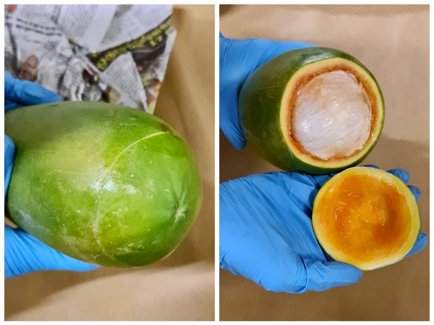 Photos 3 and 4: A papaya used to conceal ‘Ice’ and ketamine, seized from a vehicle in the vicinity of River Valley Road on 17 September 2020