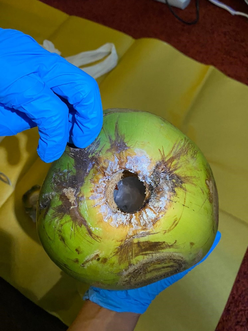 DRUGS HIDDEN INSIDE COCONUT, 3 ARRESTED FOR SUSPECTED DRUG ACTIVITIES 