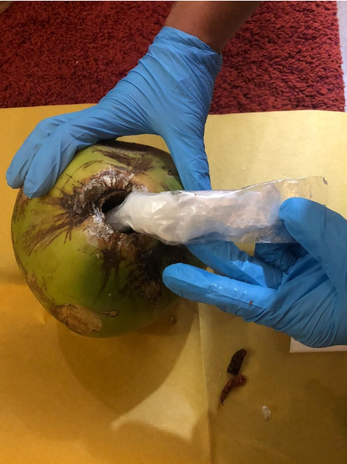 DRUGS HIDDEN INSIDE COCONUT, 3 ARRESTED FOR SUSPECTED DRUG ACTIVITIES DRUGS HIDDEN INSIDE COCONUT, 3 ARRESTED FOR SUSPECTED DRUG ACTIVITIES